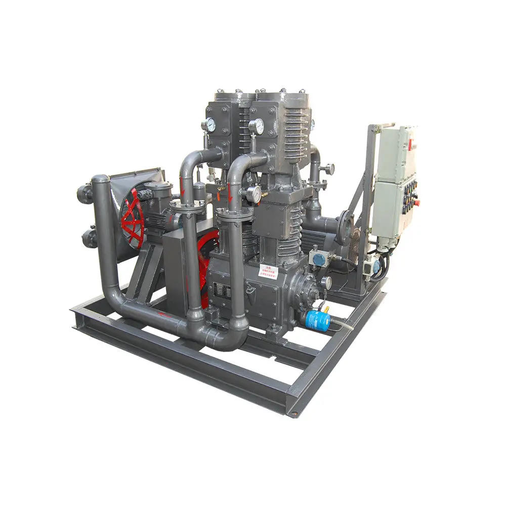 Industrial Machine Methane Compressor Biogas Gas Plant Piston Compressor for Biogas Filling Station