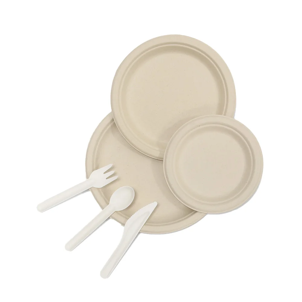 Customized compostable bagasse Dish Eco-friendly Bagasse Tableware sugarcane Pulp dessert round Cake paper plate Dish