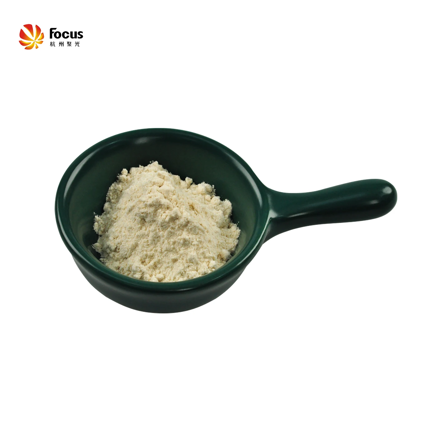 Hot Sell Vital Wheat Gluten with best price and quality