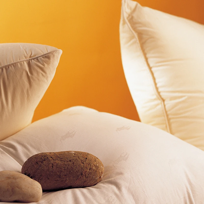 
Cheap Price Good Quality White Goose Feather Down Filling Pillow Manufacturer For Hotel 