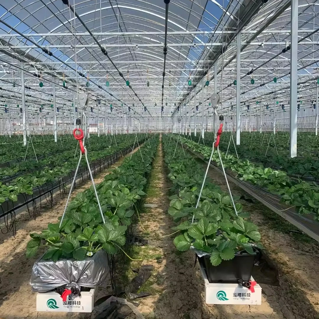 Greenhouse hydroponics growing system float foam lettuce hydroponics greenhouse for farm