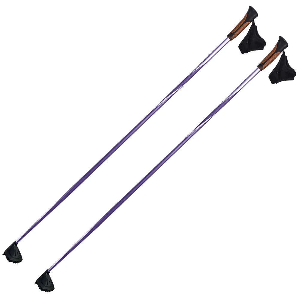 carbide ski pole/tip for ski pole/wide ski pole grip ledg