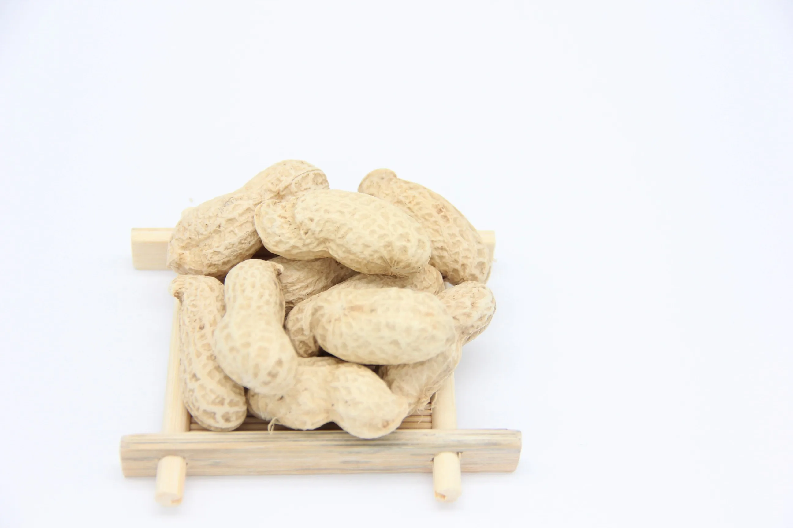 raw dried peanuts in shell