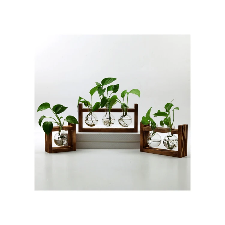 OEM manufacture supplier of home decor indoor desktop wooden frame vintage hydroponic glass test tube