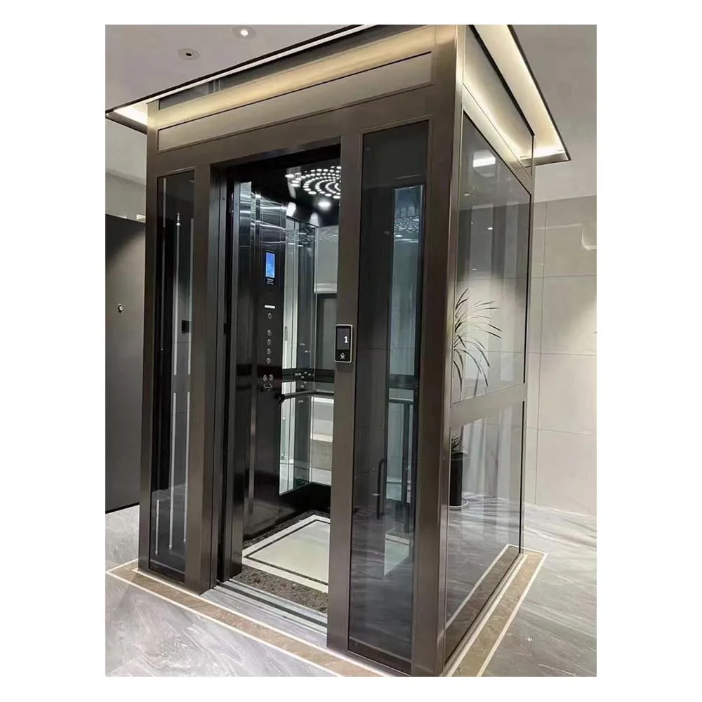 Small Household Elevator Indoor and Outdoor Simple and Silent Household Two-story and Three-story Villa Elevator Duplex Sightsee