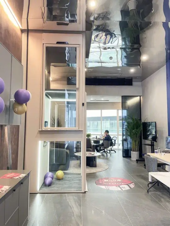 Customized Luxury Cabin Office Passenger Elevator for 6 Persons AC Drive Home Villa Warehouse Application