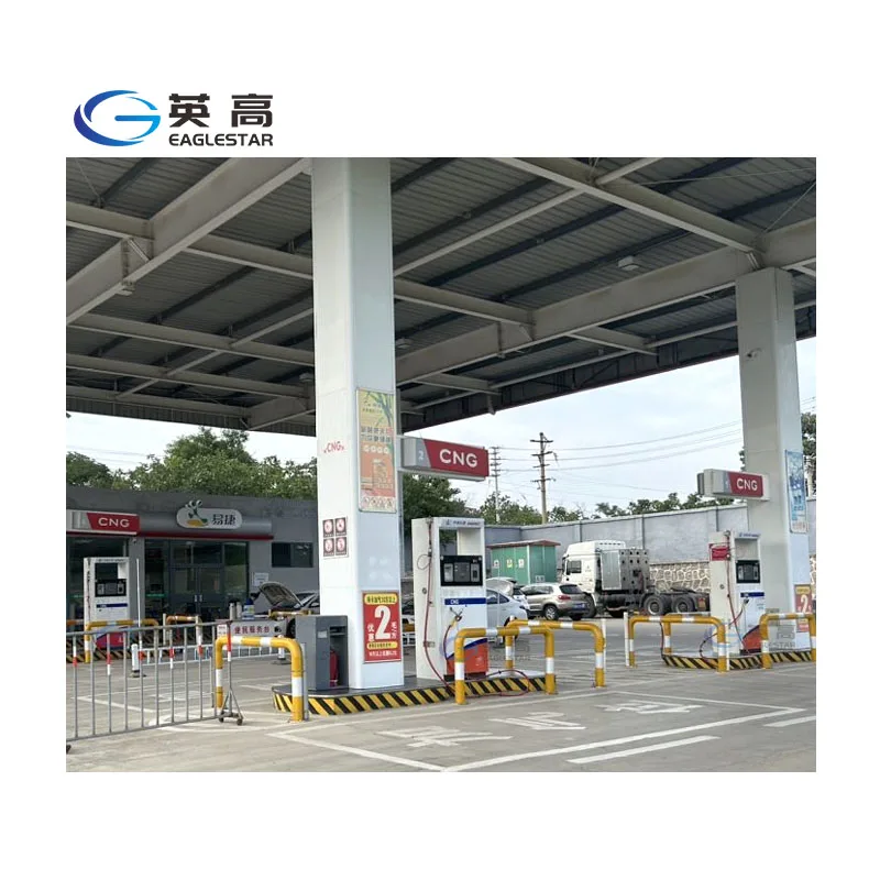 Cng Filling Machine Compressed Natural Gas Dispenser Cng Dispenser For Gas Station