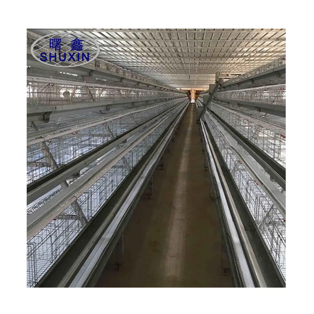 Poultry Farm 5 Tiers 250 Birds Animal Battery Layer Chicken Cages
