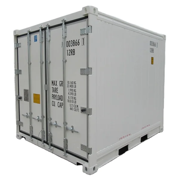 10ft 10RF Refrigerated Reefer Shipping Container with Carrier ThermoKing DAIKIN Cooling machine