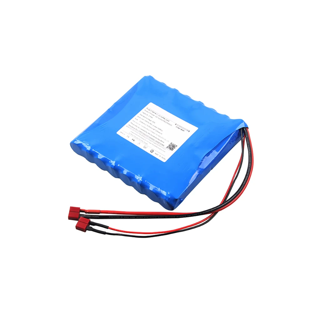 16S1P 18650 перезаряжаемые 60V 2.9Ah Одноколесный велосипед батареи с INR18650-29E и BMS литиевая батарея 60v