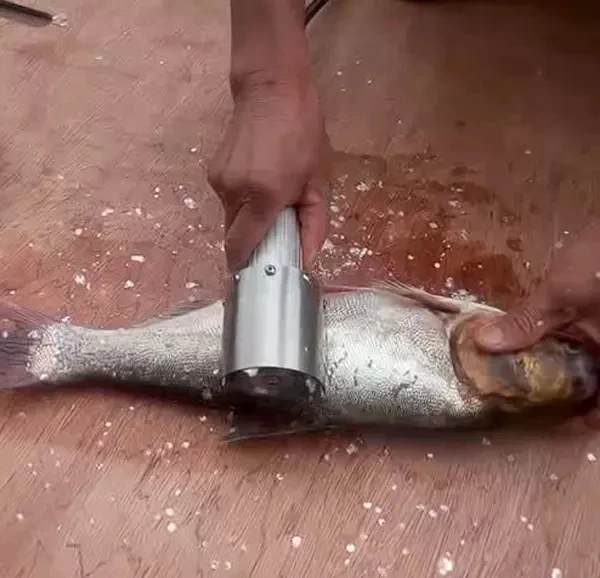 Manual fish scaler electric fish scaler for fish descaler