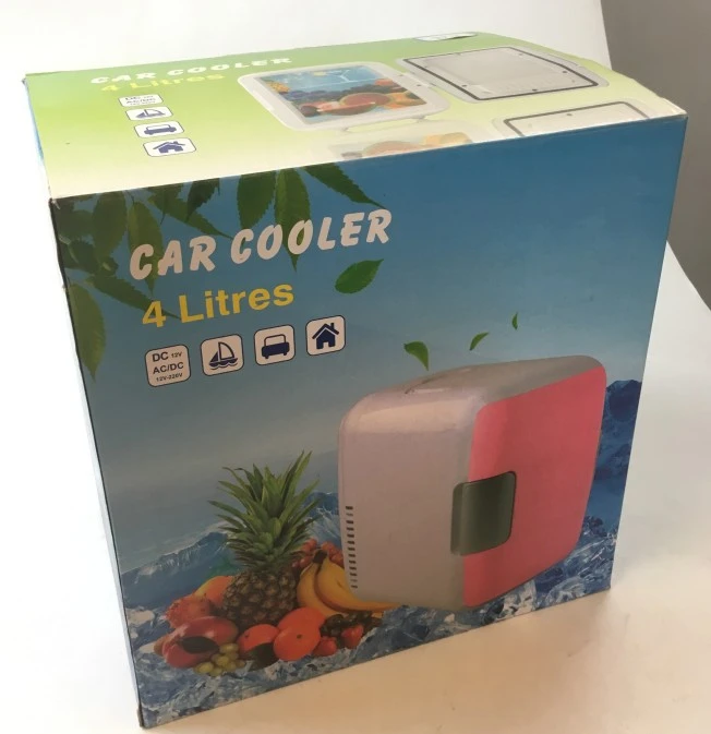  Factory Price Mini Fridge 4L Car use 12V Portable Outdoor Storage Cooler Rifregerator 2 In 1 For Drinks And