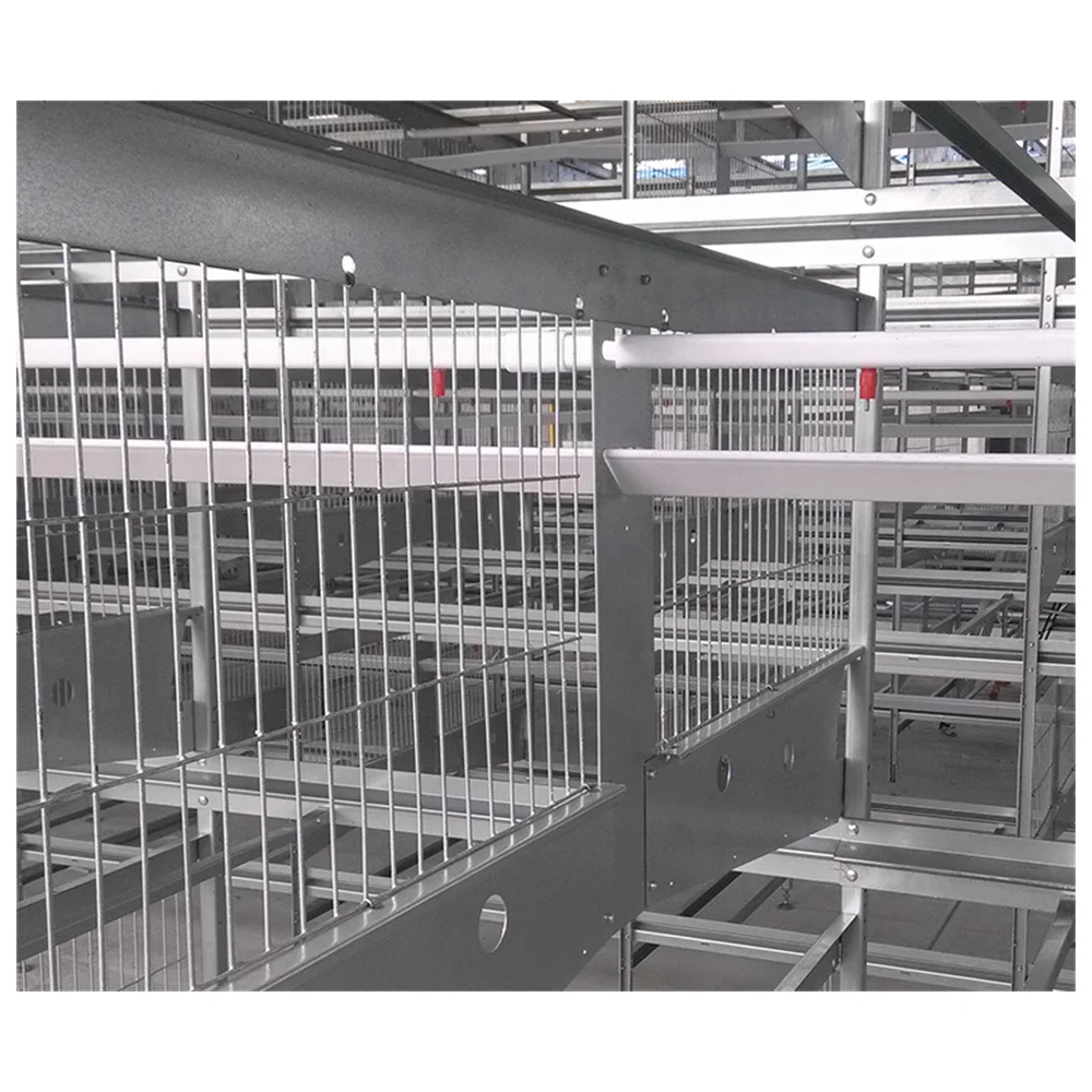 Полностью автоматическая многослойная клетка типа H для птичьего домика вместимостью 20000