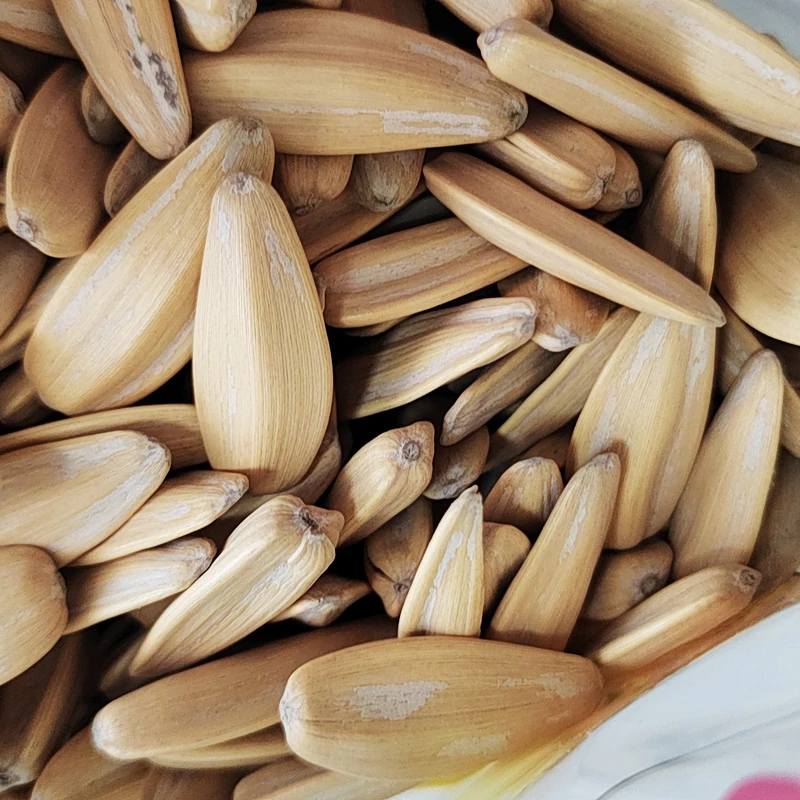 China Manufacture Wholesale Quality Roasted White Sunflower Seeds For Sale