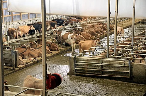 ONEPOWER    AC/DC solar tracker actuator  transmission actuator