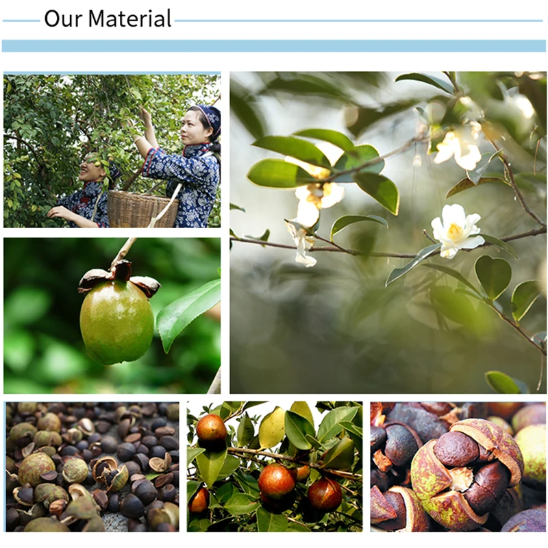 High Purity Trade Assurance Cheaper Vegetable Cooking Food Grade Camellia Oil
