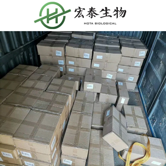 High Quality Pure Lipase Enzyme Powder