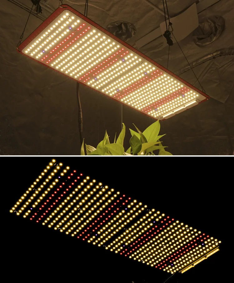 Kingbrite LED Grow Lights 240W, LM301H pcb LED Panel Full Spectrum Grow Tent Complete Kit for growing system