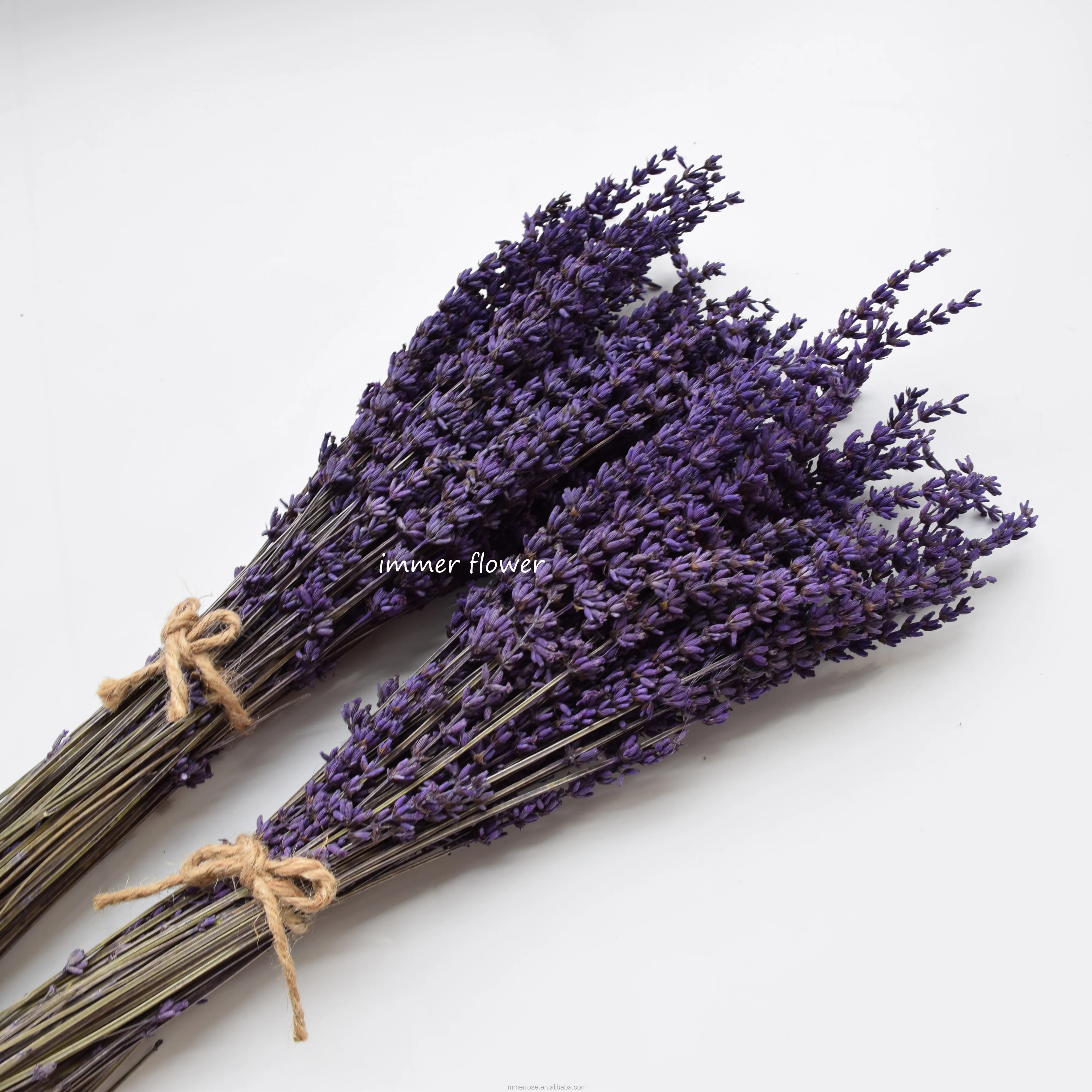 Wholesale Decorative Stabilized Lavender Preserved Lavender Flower