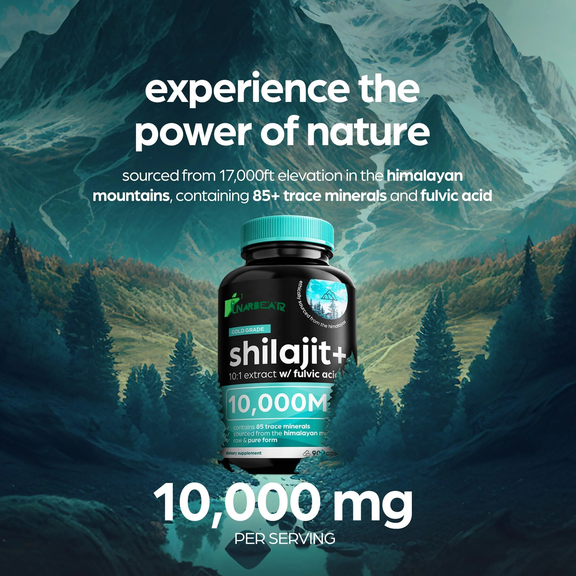 Private Custom Label Himalayan Shilajit Capusles Potency Organic Capsules with Fulvic Acid Trace Minerals Enhanced Energy Immune
