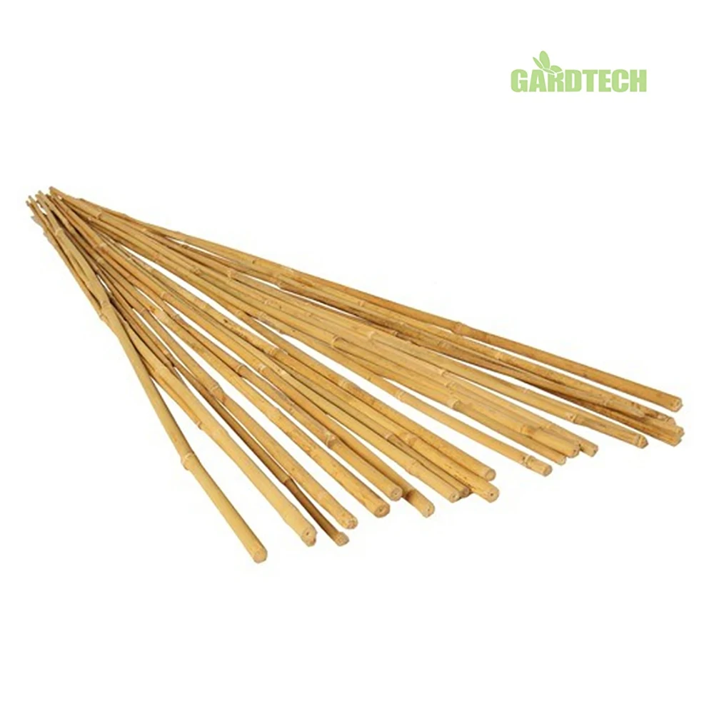 Winslow & Ross wholesale plant support stakes bamboo garden stakes natural bamboo flower sticks