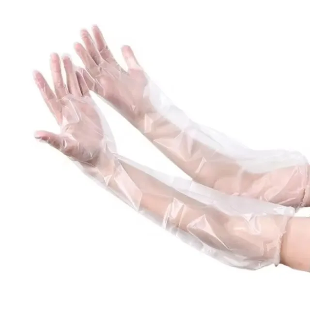 Restaurant Kitchen BBQ Eco-Friendly Food Gloves Safety Long Sleeve Disposable Long Arm PE CPE Gloves