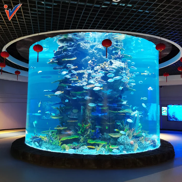 20-500Mm Customized Lucite Big Aquariums, Acrylic Glass Fish Tank Customization%