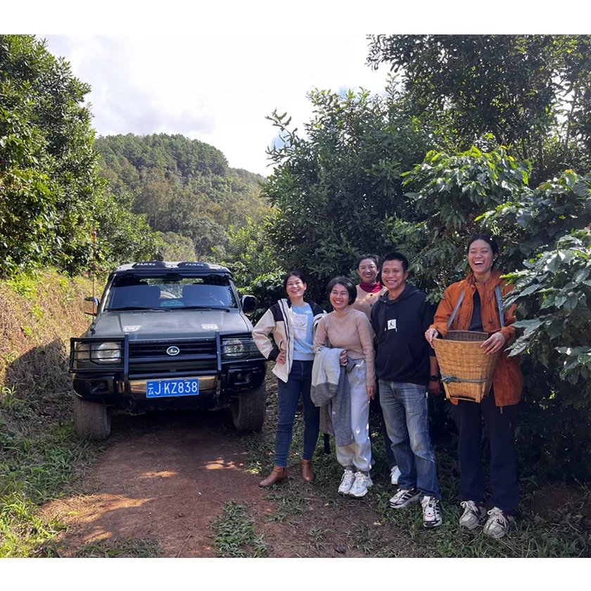 2023 years new crop of Puer arabica green coffee for used in roast coffee or drip coffee