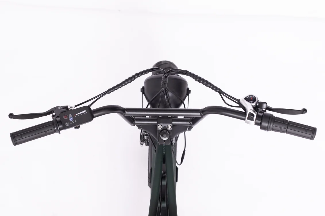 48v 500w/750w/1000w Retro Bike Rear Hub Motor 20*4.0 Inch Fat Tire Two Seat Electric Bike Moto Electrica 73 Ebike