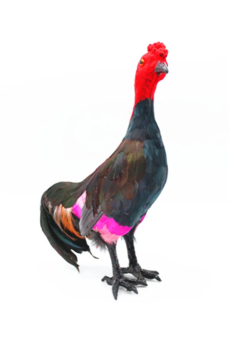 Feather Crafts Simulation Chicken Plastic Model Statue Fighting Cock Toy