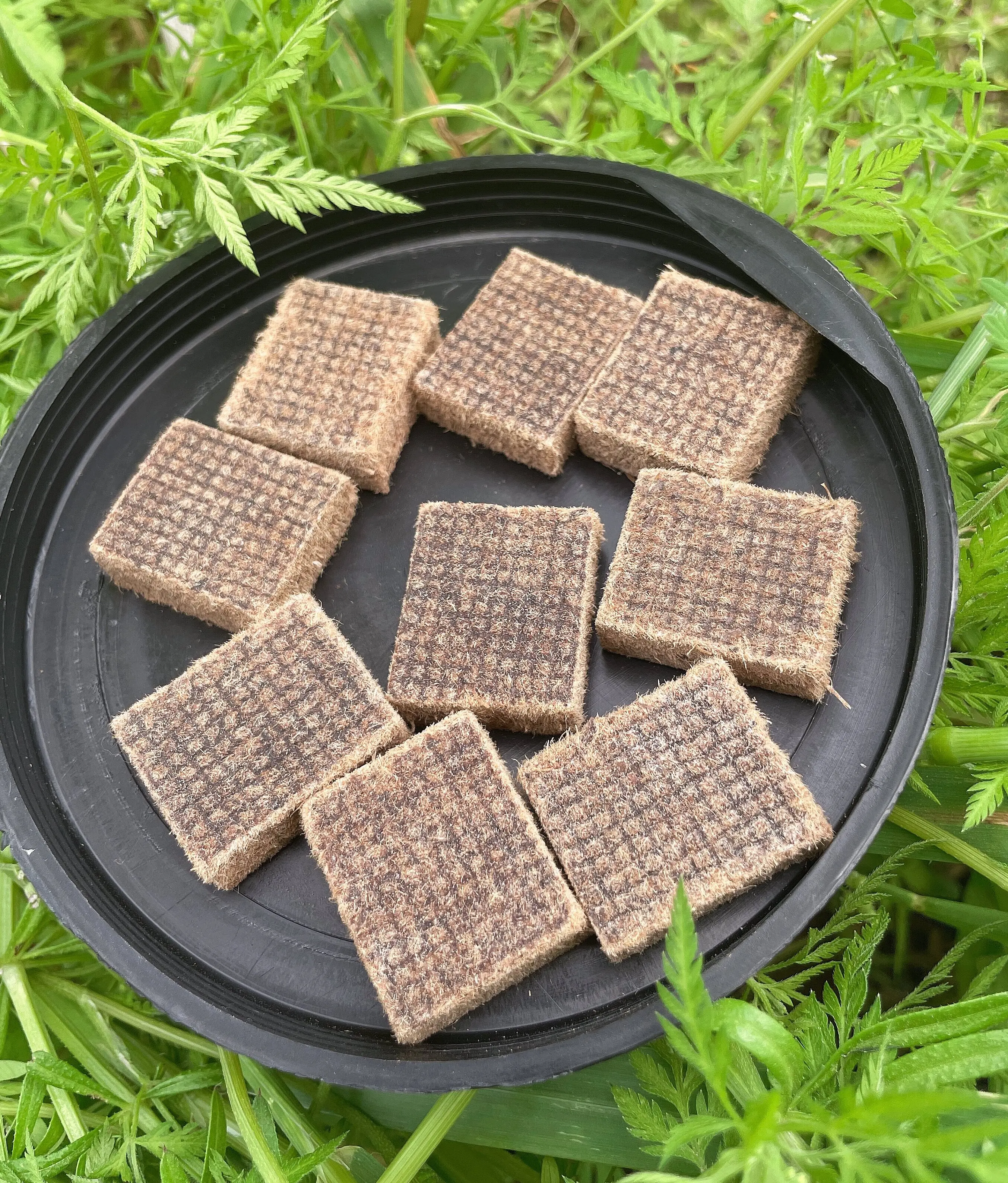 Fire Charcoal Starter