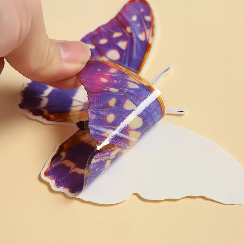 Static cling sun rainbow film Static window clings Vinyl bird prevention sticker
