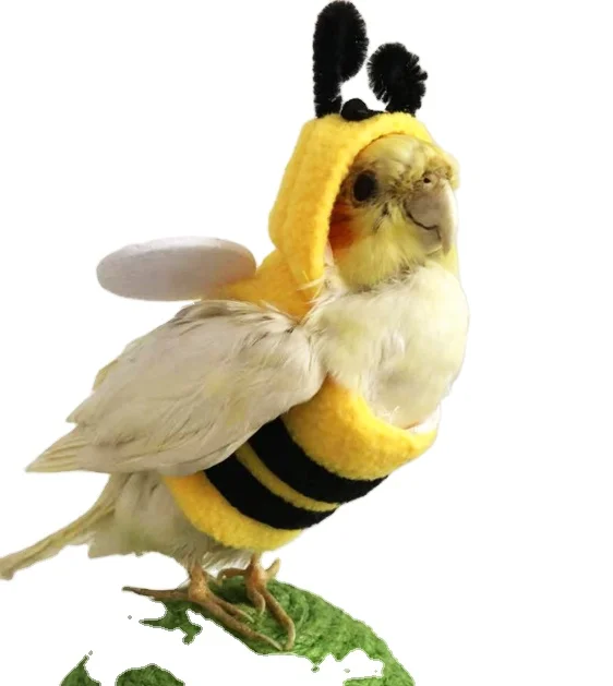 New Pet Bird Clothing Autumn and Winter Warm Pet Apparel Funny Parrot Bee Costume