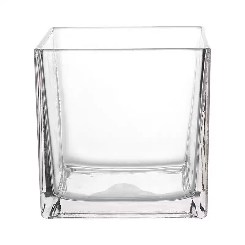 Wholesale Modern Machine Made Wide Mouth Square Cube Transparent Plant Fish Glass Flower Vases