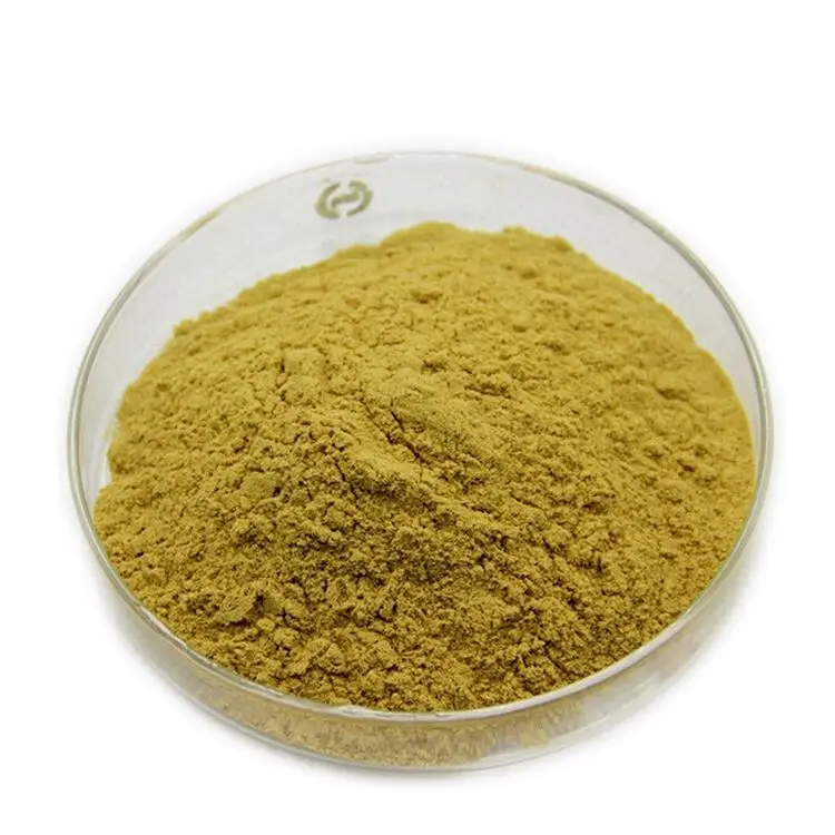 Wholesale High Quality Natural Organic Clean & Pure Senna Leaves Extract Powder