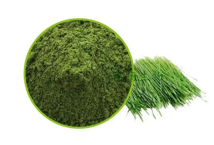 hot selling barley grass juice powder