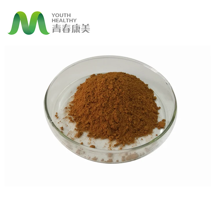 China Manufacturer High Quality Bamboo Leaf Extract