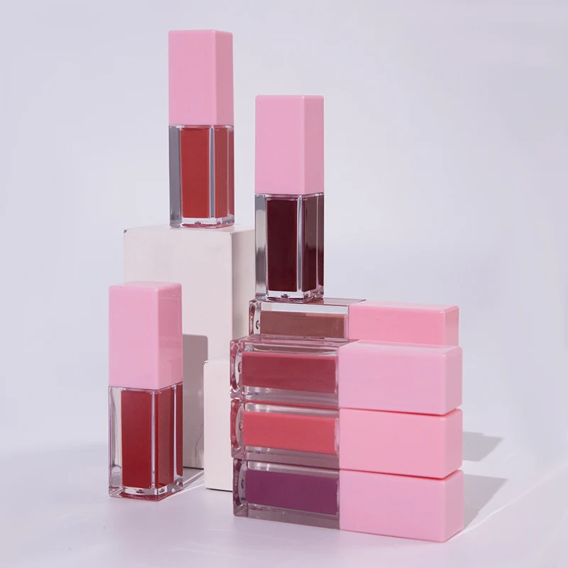 OEM ODM Factory Dark Skin Use Make Up Vegan Waterproof Long Lasting Moist Lip Cosmetics Lip Gloss Supplies