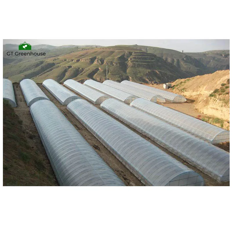 Serre Agricole Prix Aeroponic Greenhouse