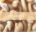 Sinocharm 2021 IQF Japan Nameko high quality