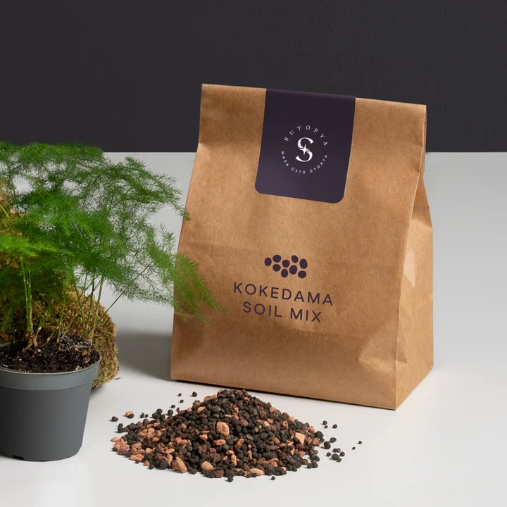 how to make moss Kokedama Kit with  Online Education kokedama plate gift for home garden lovers