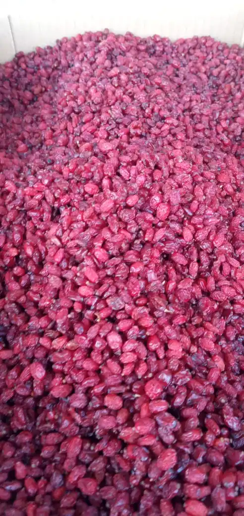 Barberries Dried Barberries  Bulk High Quality Barberry - Zereshk for Sale