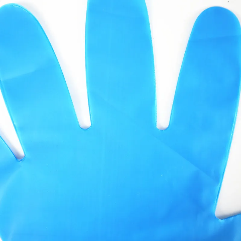 Household Kitchen Use Transparent Polythene Gloves Food Grade Waterproof Disposable TPE Gloves
