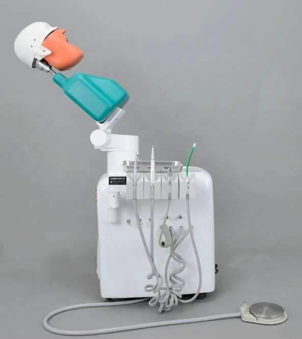 DT dental manikin advanced phantom head