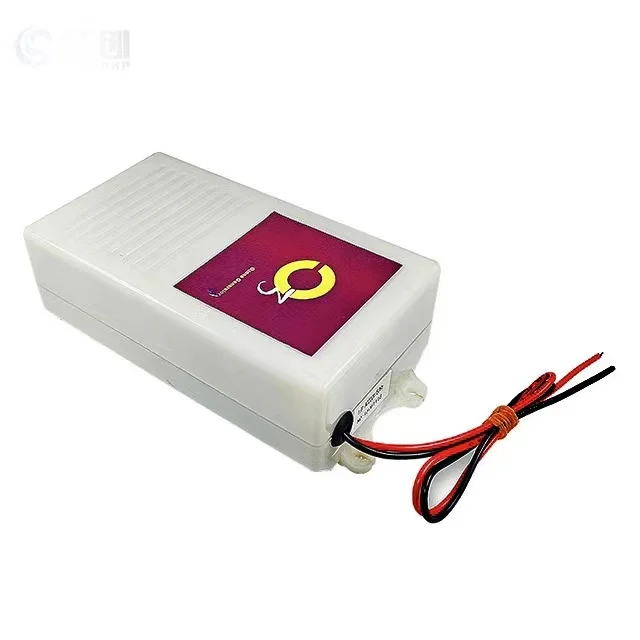 TCB-115  AC220V AC110V 300mg/h Water Ozone Generator Spa Generator Ozone