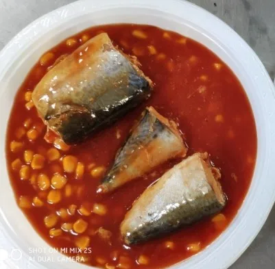 Factory  price canned fish healthy foods canned Mackerel in Tomato Sacue