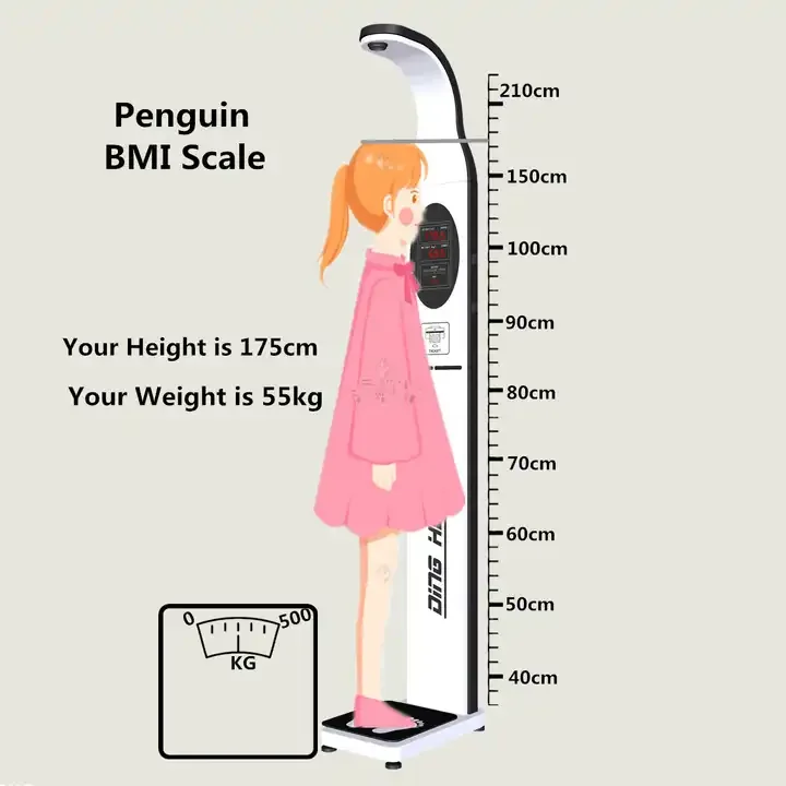 Factory Pharmacy Coin-Operated Height and Body Mass Index Quantity Chart