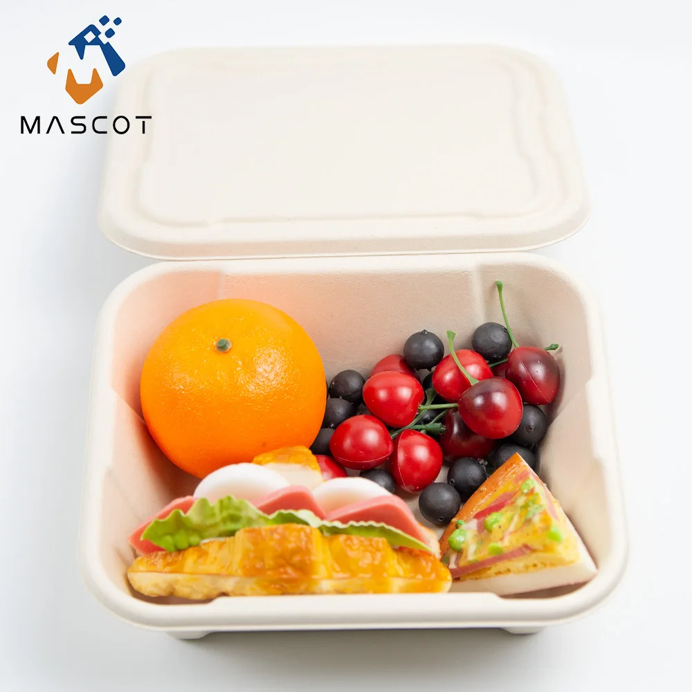 Factory Cheap Price Disposable Biodegradable Fruit Tray Bagasse Pulp Food Container Paper Food Container Tray