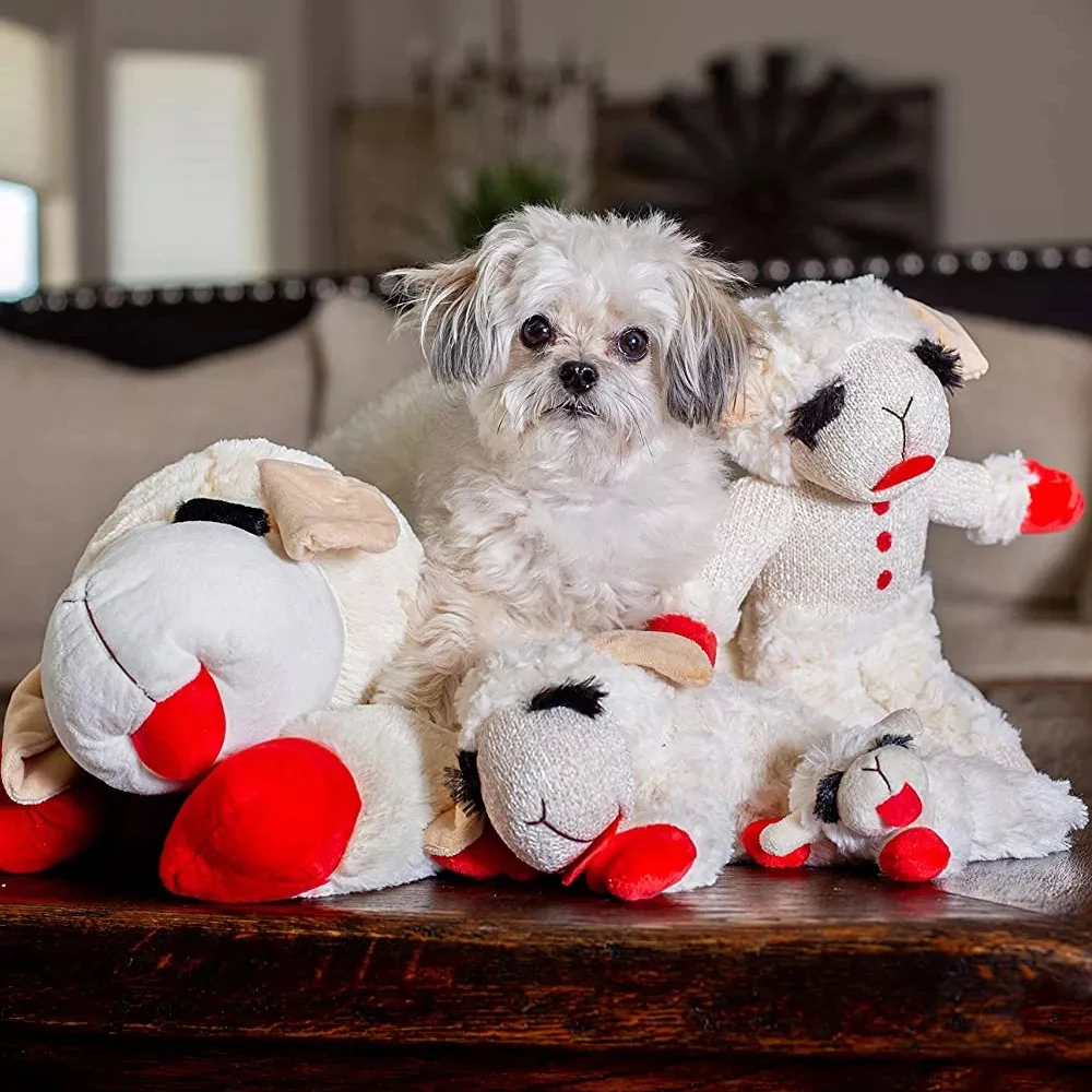 HOT selling Lambchop Squeaky Dog Toy with Crinkle Ears Plush Puppy Toy for Small and Medium Breed Non-Aggressive Chewers