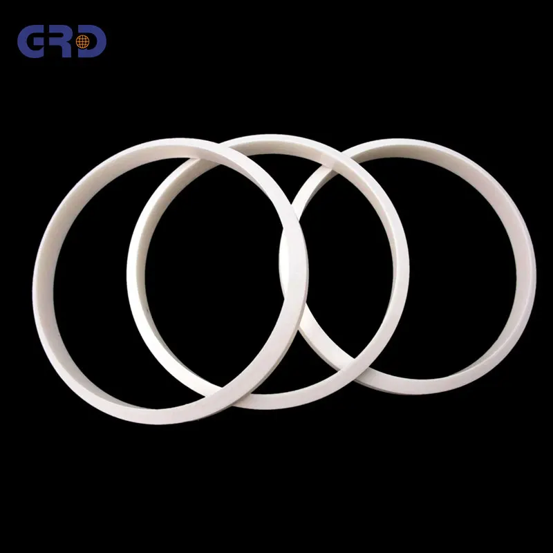 Customize structure mechanical ceramic seal ring for water pump